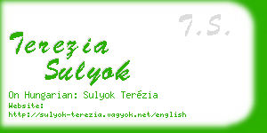 terezia sulyok business card